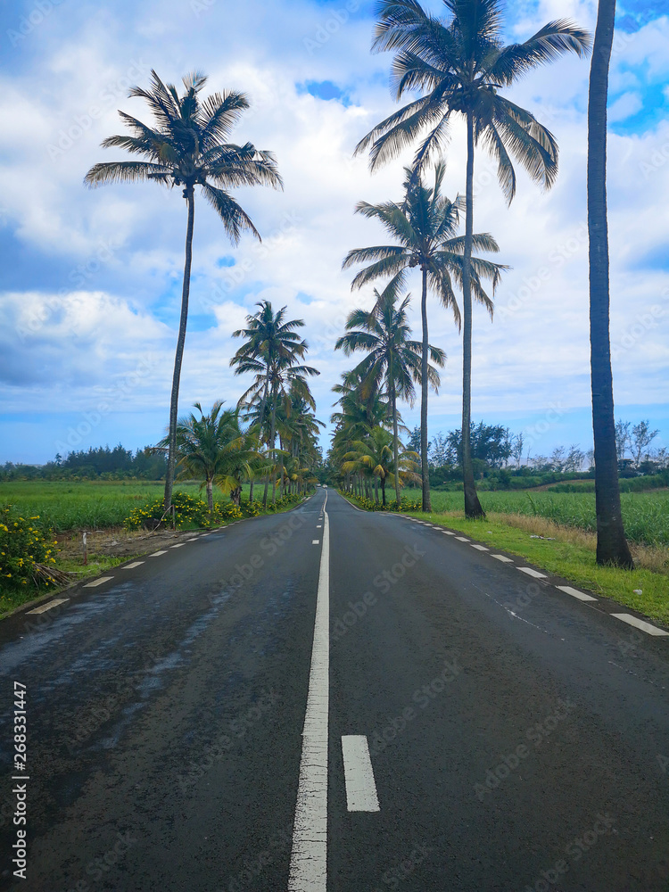 Obraz premium mauritius