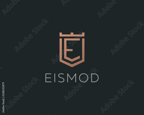 Premium monogram letter E initials logotype. Elegant shield crown vector logo.