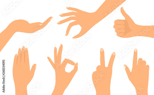 A set of hands in different versions. Flat design.