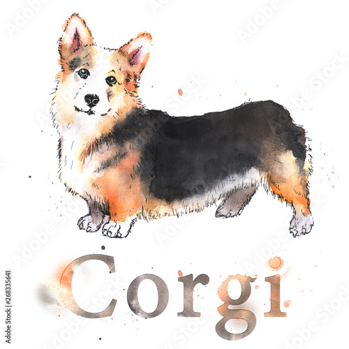 Watercolor hand-drawn bright-colored welsh corgi card