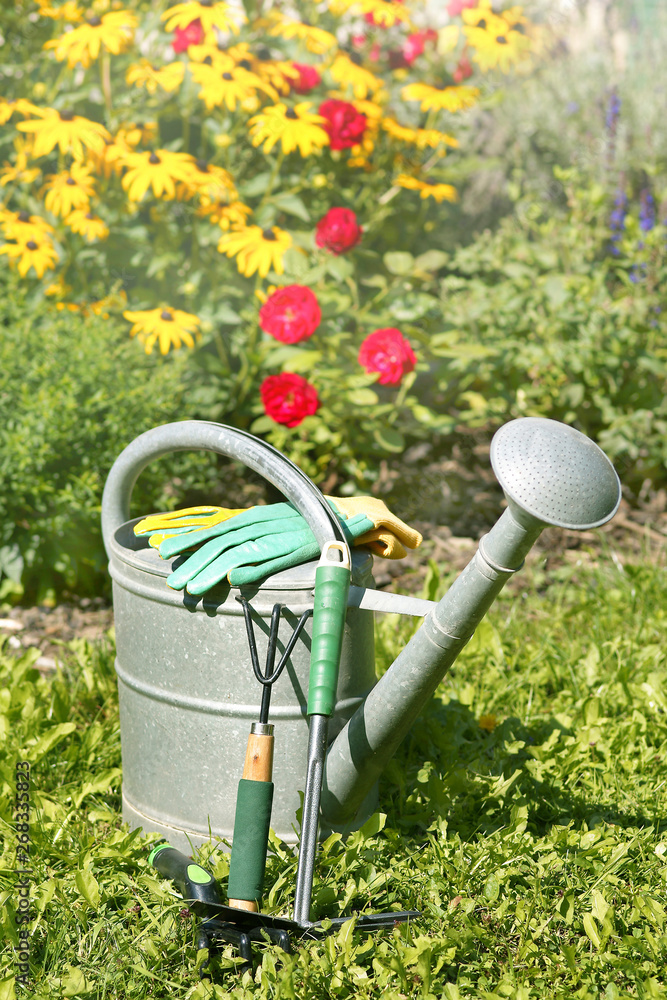 Watering can as symbol for gardening in summer, copy space Watering can as symbol for gardening in summer, copy space