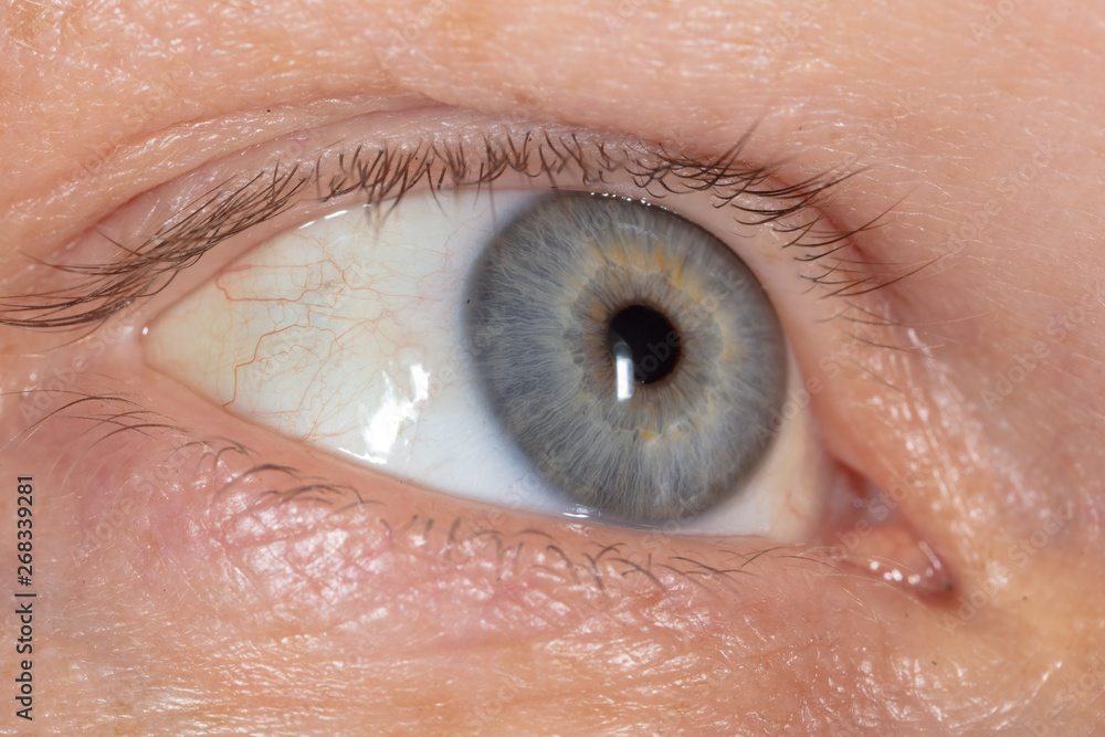 Fototapeta premium Blue eye on the man's face. Macro
