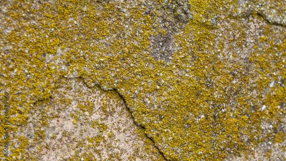 Typical detail of an ancient Italian house wall, made of hand-carved river stones. Typical detail of an ancient Italian house wall, made of hand-carved river stones.