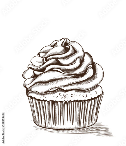 Cupcake line art Vector. Delicious dessert illustration isolated on whites