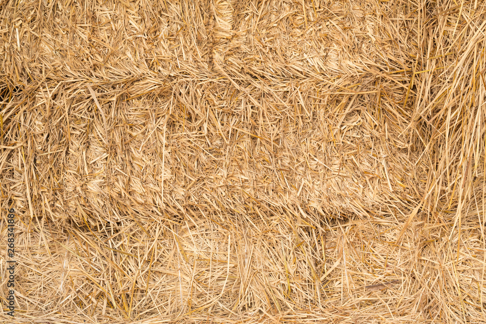 straw background straw background