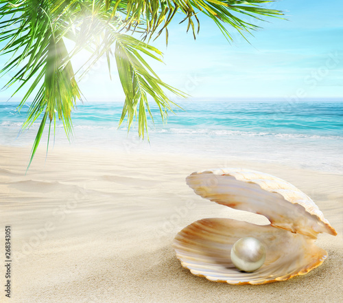 Fototapeta Naklejka Na Ścianę i Meble -  Pearl in an open shell. Sandy tropical beach with coconut palms.