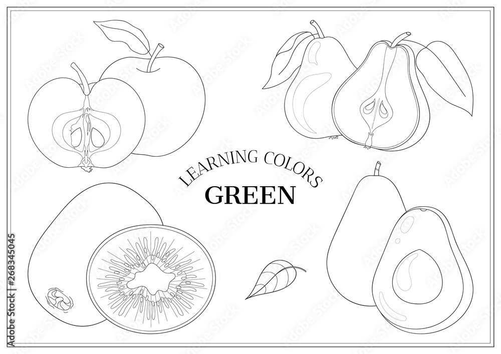 Learning colors - green. Coloring book page for preschool children with outlines of: apple, pear, kiwi fruit and avocado. Vector illustration for kids education and child development.