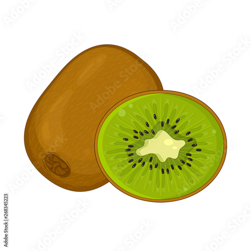 Kiwi fruit isolated and half cut kiwi fruit. Vector illustration.