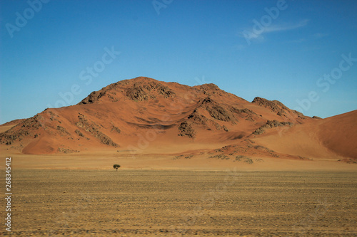 Desert landscapes with mountains in the south of Namibia. The dry season  dry vegetation is a natural background.