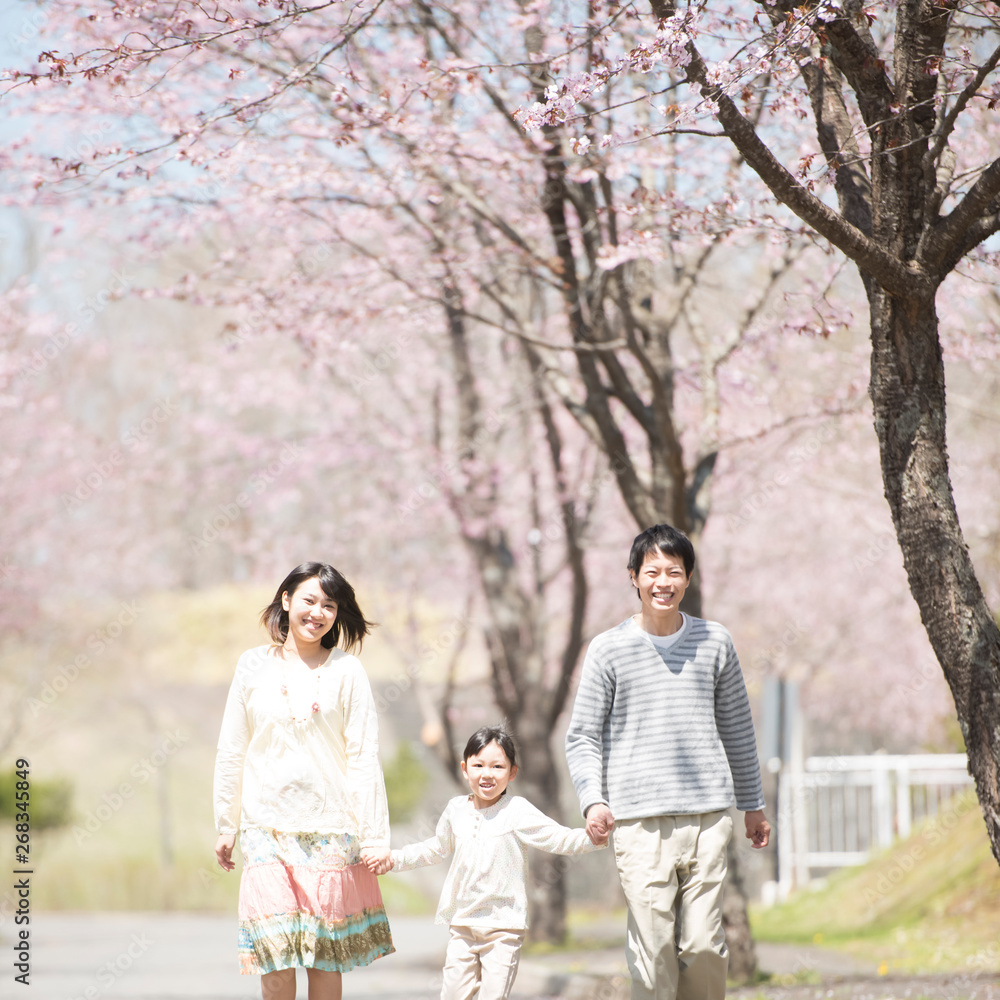 桜の前で手をつなぐ親子 桜の前で手をつなぐ親子