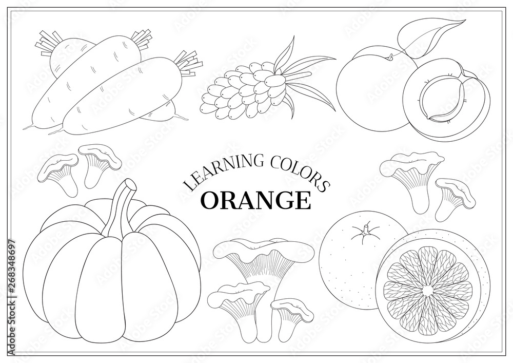 Color Orange Coloring Page