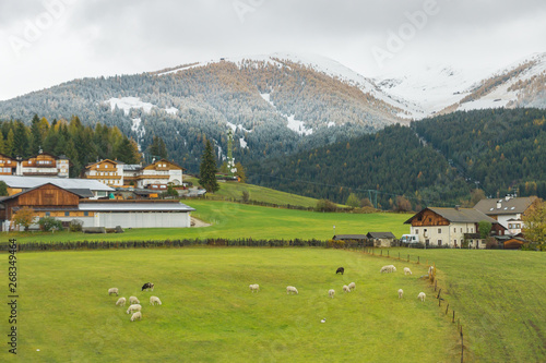 Picturesque autumnal view on green pasture in Maranza / Meransen, alpine plateau in South Tyrol. Mountain scenery in Northern Italy. Calm morning landscape, peaceful location.