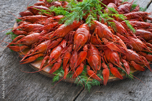 Boiled crayfish with dill.