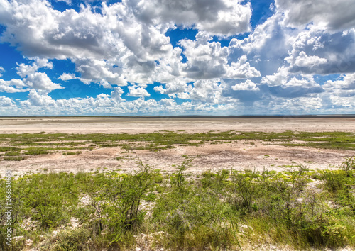 Obraz na płótnie Landscape picture of the large salt pan at the Etosha Nationalpark  in northern