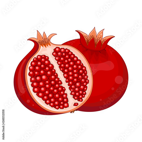 Pomegranate isolated and half cut pomegranate. Vector illustration.