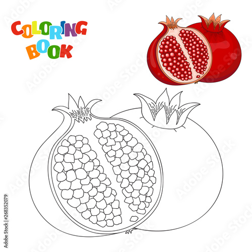 Coloring book page for preschool children with outlines of pomegranate and a colorful copy of it. Vector illustration of pomegranate for kids education.