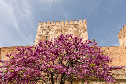 Free transit areas in the outdoor gardens of the Alhambra in Granada, Spain