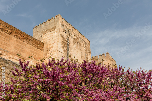 Free transit areas in the outdoor gardens of the Alhambra in Granada, Spain