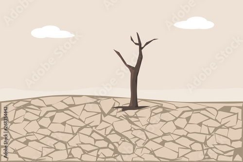 Dry Cracked Land. Soil Erosion and Desertification