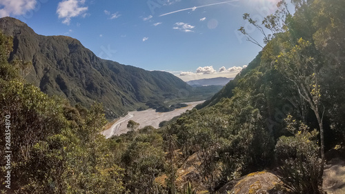 Westland National Park, New Zealand photo