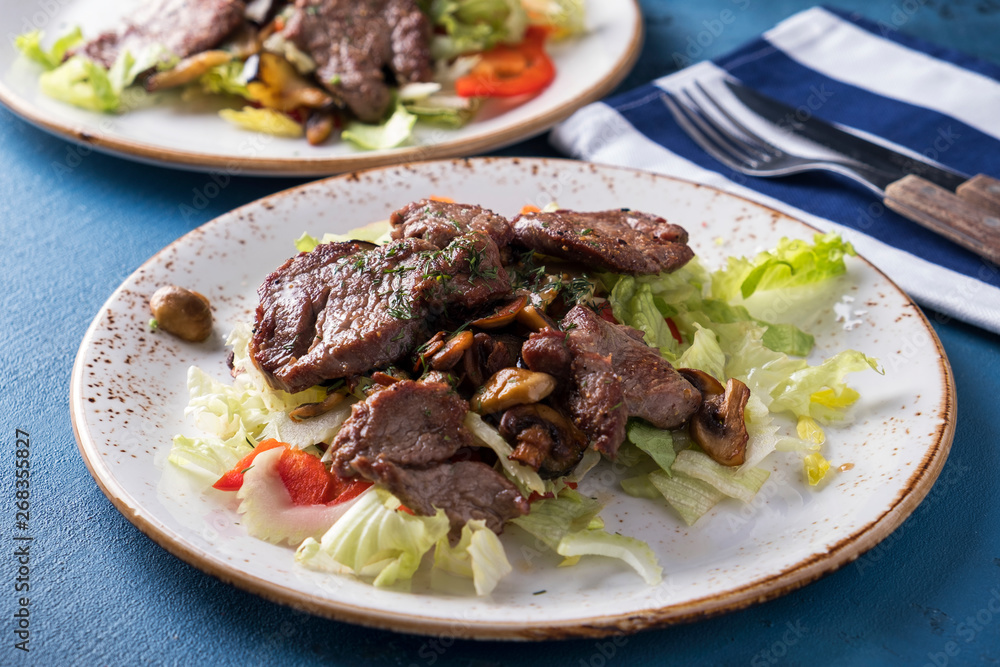 Meat salad with fresh vegetables on a plate. Beef salad with vegetables. Meat salad with fresh vegetables on a plate. Beef salad with vegetables.