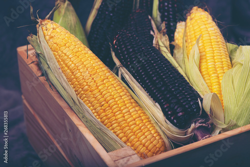 variety organic corn for food