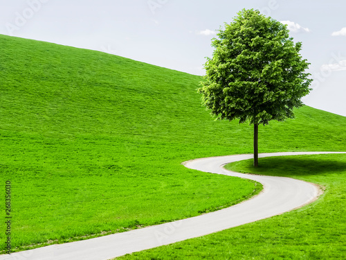 Landstrasse mit Baum