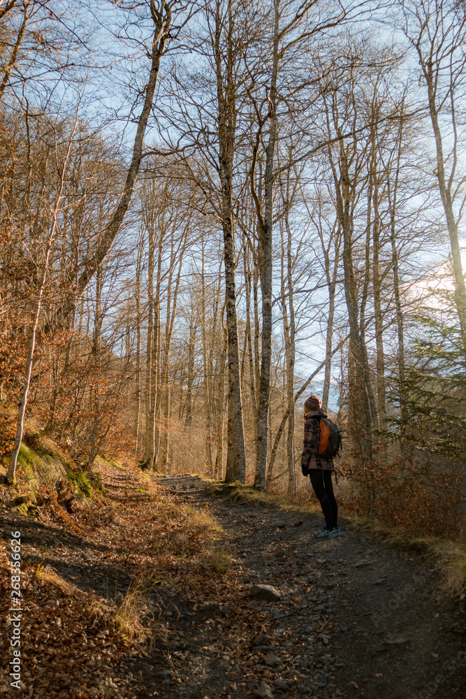 Trekker in autumn forest with orange colours and leaves Trekker in autumn forest with orange colours and leaves