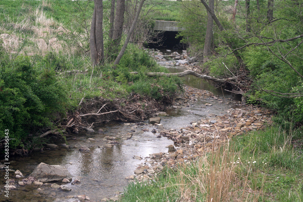 Fototapeta premium Stream in Cayuhoga Valley National Park