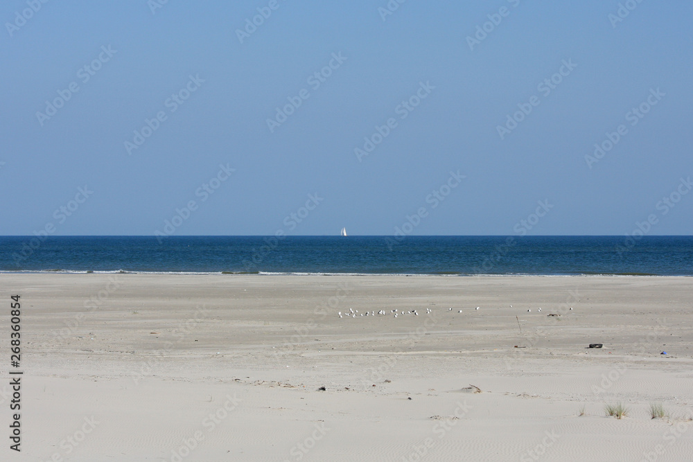 beach and sea at Terschelling