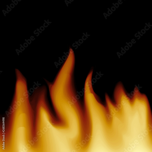 Vector Abstract Modern Flame Background