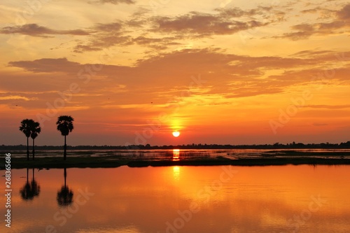 The shadow of the palm trees and golden yellow belly along the morning gray clouds. The river reflects golden light photo