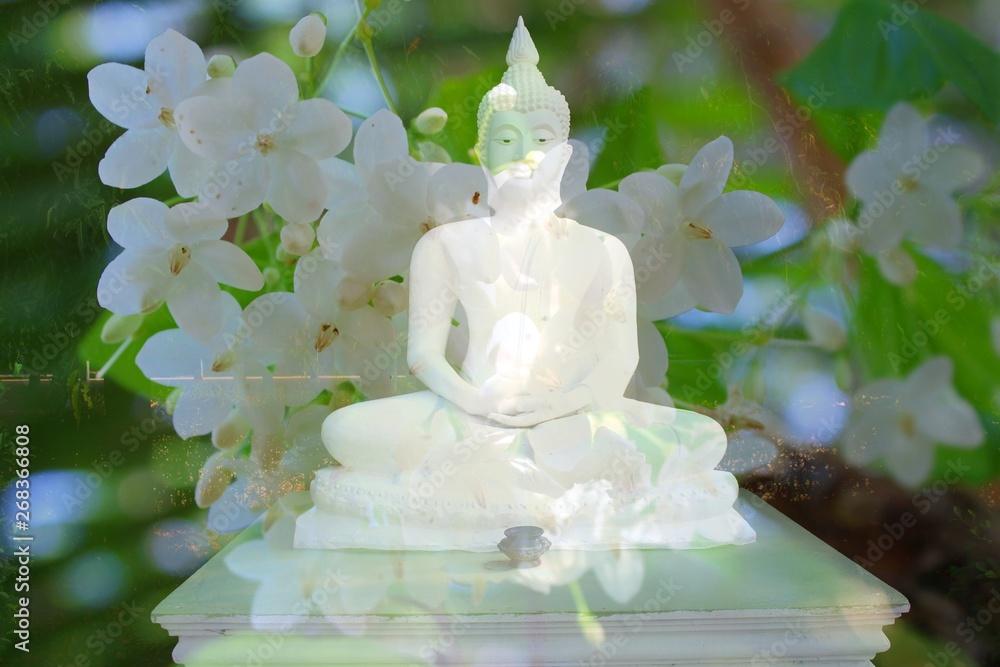  White Buddha image on white flowers, Mok flowers