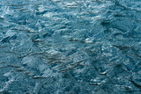 Background texture shot of dark blue water ripple