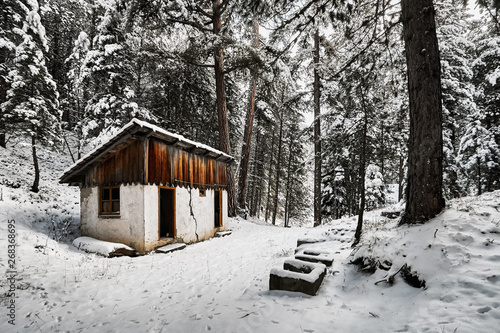 Wallpaper Mural Desolated vintage cottage in a forest covered with snow in winter snow Torontodigital.ca