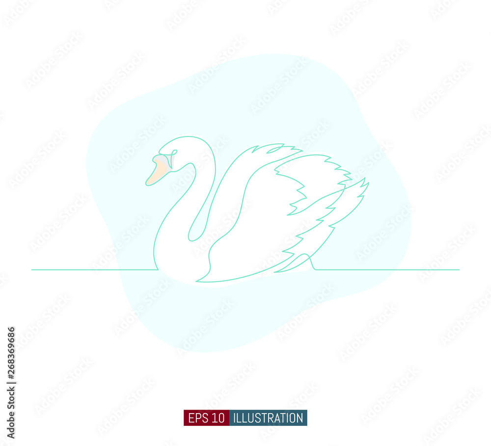 Continuous line drawing of swan. Template for your design works. Vector illustration. Continuous line drawing of swan. Template for your design works. Vector illustration.