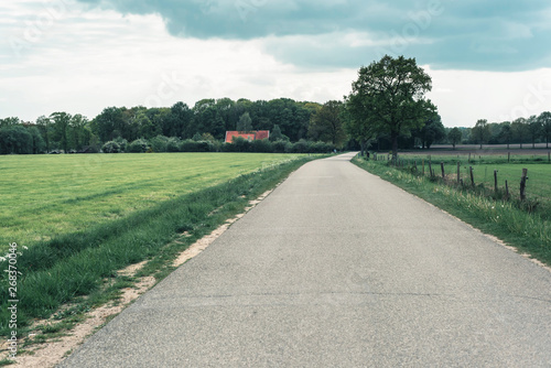 Road under cloudy sky in spring countryside.