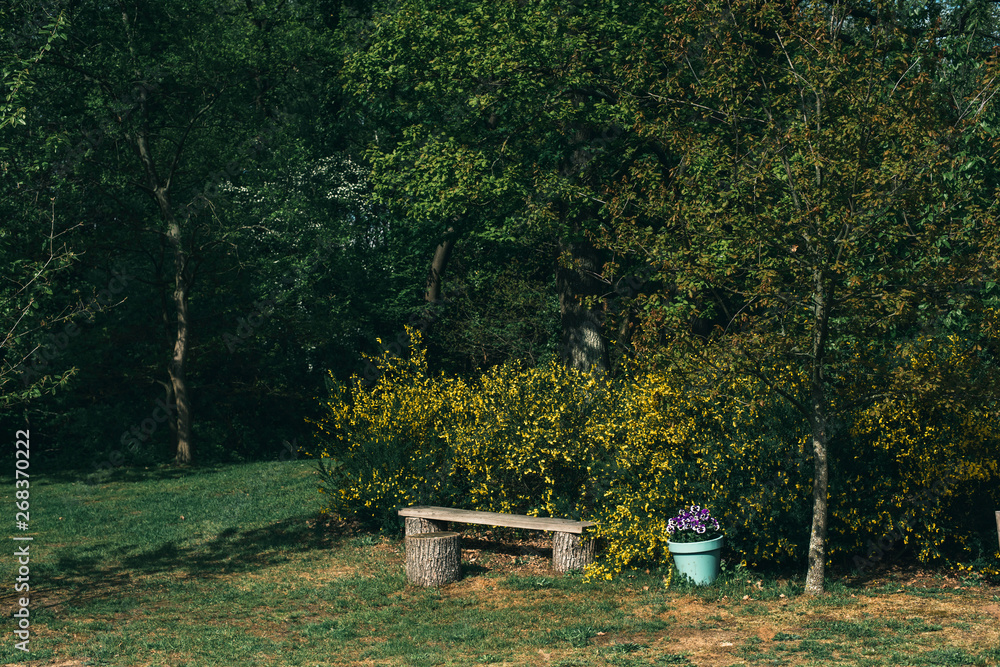 Wooden bench and flower pot in backyard in spring. Wooden bench and flower pot in backyard in spring.