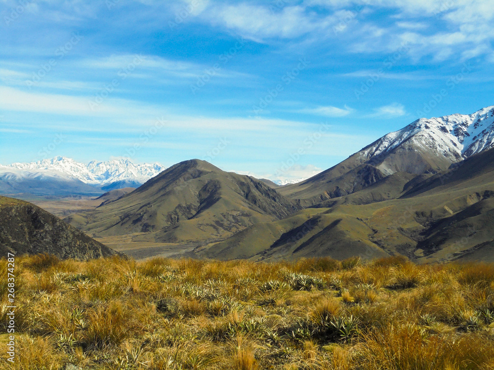 beautiful view on yellow plains with tussock grass and snow capped mountains from hiking trail to Mount Somers, foothills of Southern Alps in Canterbury region, South Island of New Zealand beautiful view on yellow plains with tussock grass and snow capped mountains from hiking trail to Mount Somers, foothills of Southern Alps in Canterbury region, South Island of New Zealand