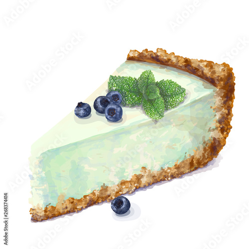 Vector piece of cheesecake cake with airy and tender, delicate creamy-peppermint cheese-cream. Crisp and crumble cake with back. Mint-flavored with blueberries,sprig of mint. Realistic hand-drawn