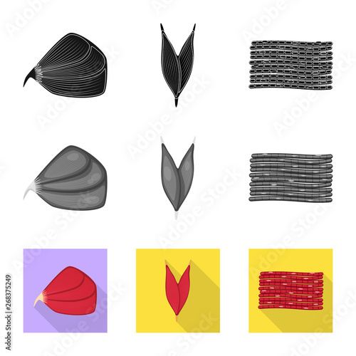 Isolated object of fiber and muscular logo. Collection of fiber and body  stock symbol for web.
