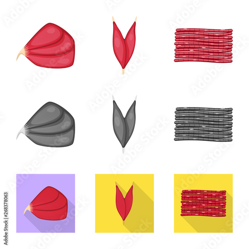 Isolated object of fiber and muscular sign. Collection of fiber and body  stock symbol for web.