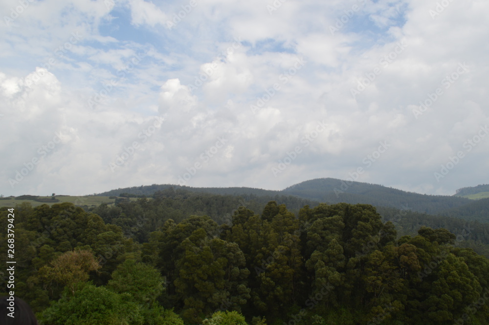 Ooty hill station, Tamil Nadu, India