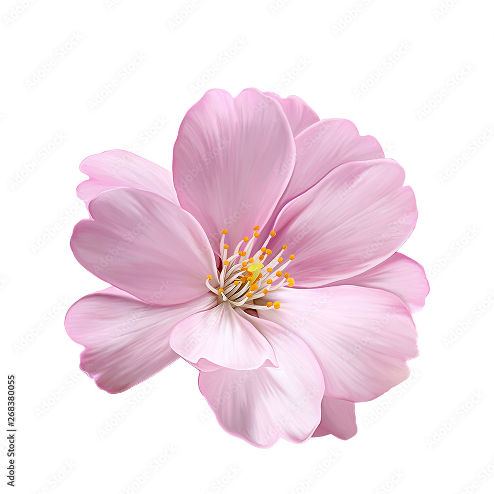 Colorful flower on white background,It's perfect for greeting cards,wedding invitation, wedding design