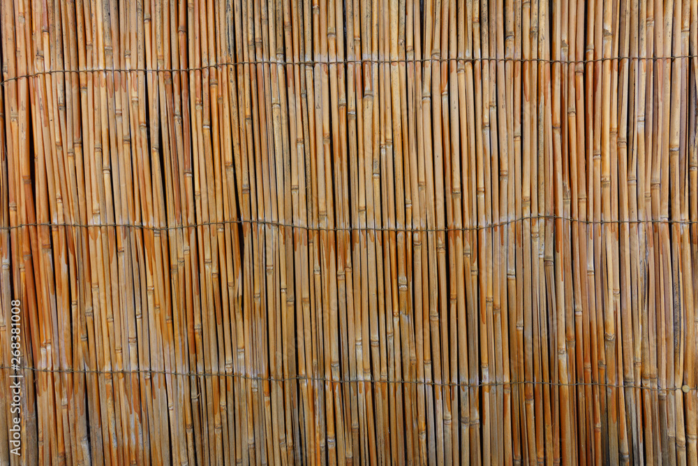background of reed. tied up. fence from reed. reed texture background of reed. tied up. fence from reed. reed texture