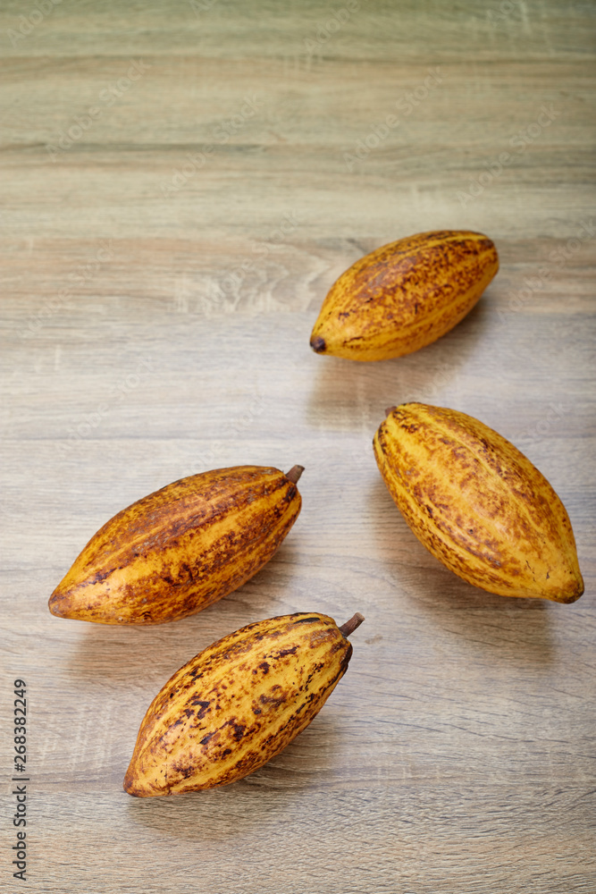 Fresh cocoa pods on table Fresh cocoa pods on table