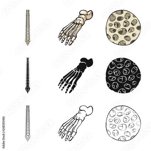 Vector design of medicine and clinic logo. Collection of medicine and medical vector icon for stock.