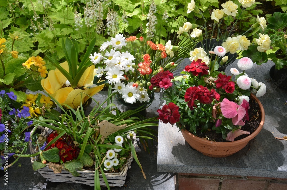 Bunte Blumendekorationen im Frühling auf einer Mauer einer Grabanlage auf denm Friedhof