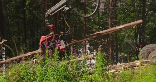   Machine harvesting trees and cutting them in Norwegian forrest