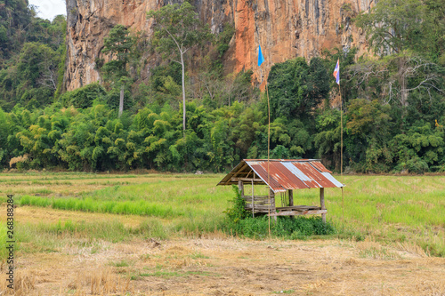 Beautiful limestome mountain range at Ban Mung Village, Noen Maprang District, Phitsanulok, Thailand photo